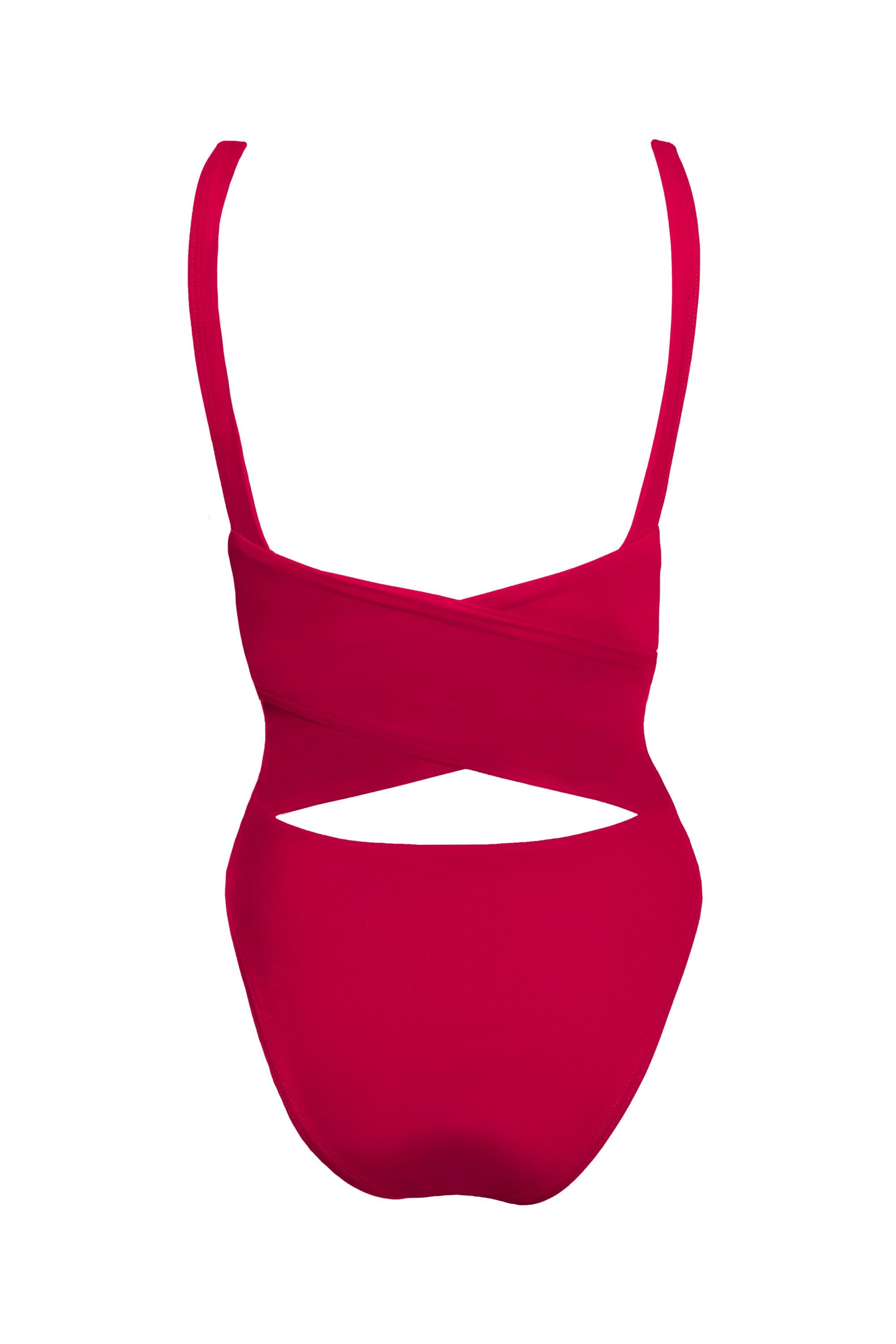 Iris in Bordeaux Red One-Piece Swimsuit Arloe